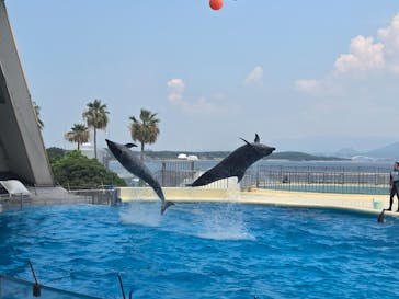マリンワールド海の中道に投稿された画像（2024/8/5）