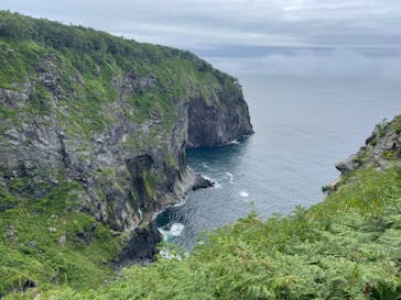 知床の案内人 Rise（ライズ）に投稿された画像（2024/8/5）