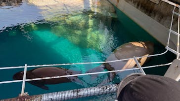 大分マリーンパレス水族館 「うみたまご」に投稿された画像（2024/8/5）