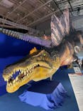 巨大恐竜展2024に投稿された画像（2024/8/5）