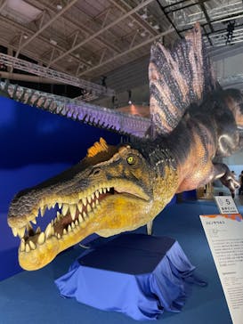 巨大恐竜展2024に投稿された画像（2024/8/5）
