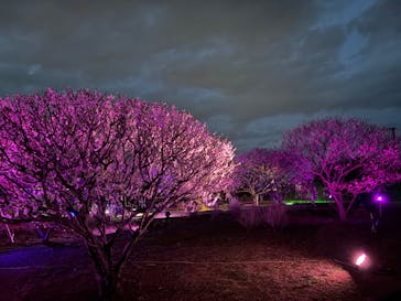 せんだい農業園芸センター　みどりの杜に投稿された画像（2024/8/5）