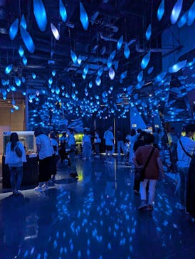 AQUARIUM × ART　atoa×felissimo chocolate museum（フェリシモ チョコレート ミュージアム）に投稿された画像（2024/8/5）