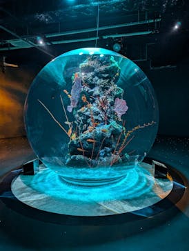 AQUARIUM × ART　atoa×felissimo chocolate museum（フェリシモ チョコレート ミュージアム）に投稿された画像（2024/8/5）