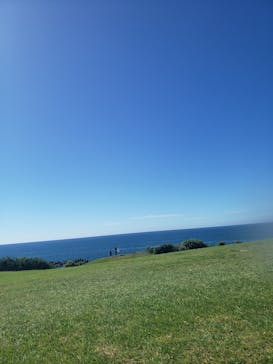 芝政ワールドに投稿された画像（2024/8/5）