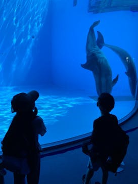 名古屋港水族館に投稿された画像（2024/8/5）