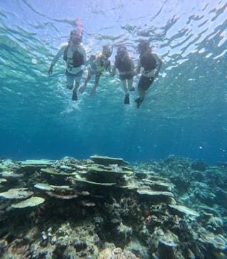 石垣島 ADVENTURE PiPi（イシガキジマアドベンチャーピピ）に投稿された画像（2024/8/5）