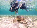 宮古島マリン GB QUESTに投稿された画像（2024/8/3）