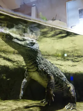 仙台うみの杜水族館に投稿された画像（2024/8/5）