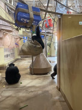 名古屋市東山動植物園に投稿された画像（2024/8/5）