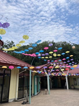 ムーミンバレーパークに投稿された画像（2024/8/5）