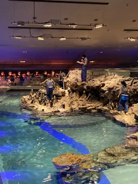 すみだ水族館に投稿された画像（2024/8/5）