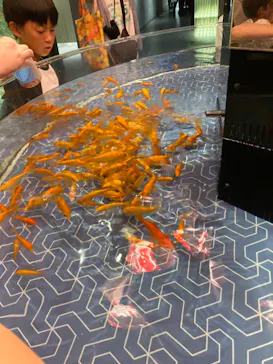 すみだ水族館に投稿された画像（2024/8/5）