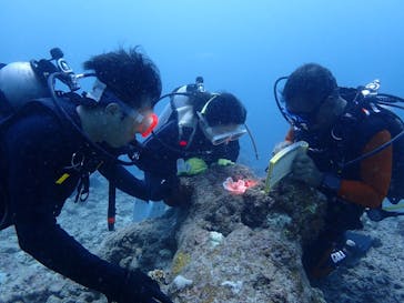 初心者専門店NEOMARINE石垣島に投稿された画像（2024/8/5）