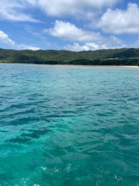 初心者専門店NEOMARINE石垣島に投稿された画像（2024/8/5）