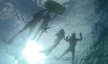 青の洞窟専門店　沖縄ダイビングショップ和に投稿された画像（2024/8/5）