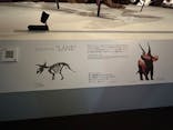 DinoScience 恐竜科学博 ～ララミディア大陸の恐竜物語～ 2024@OSAKAに投稿された画像（2024/8/5）