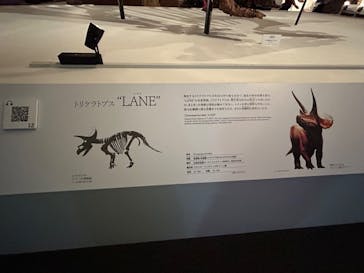 DinoScience 恐竜科学博 ～ララミディア大陸の恐竜物語～ 2024@OSAKAに投稿された画像（2024/8/5）