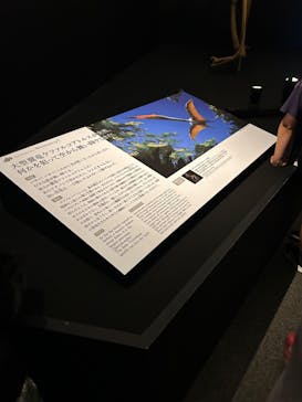 DinoScience 恐竜科学博 ～ララミディア大陸の恐竜物語～ 2024@OSAKAに投稿された画像（2024/8/5）