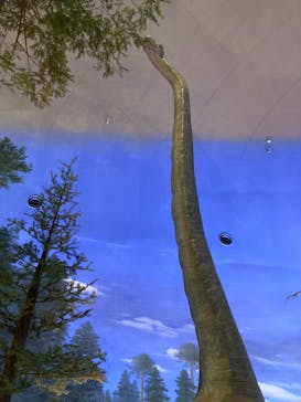 福井県立恐竜博物館に投稿された画像（2024/8/5）