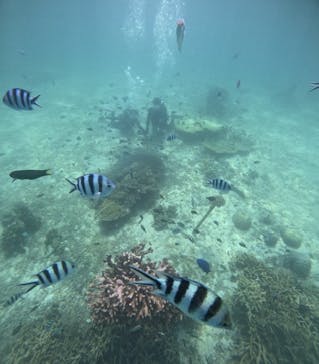 青の洞窟専門店　沖縄ダイビングショップ和に投稿された画像（2024/8/5）