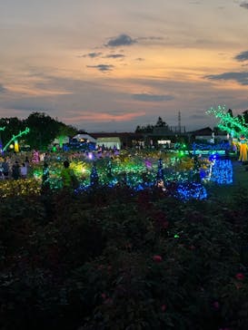 せんだい農業園芸センター　みどりの杜に投稿された画像（2024/8/5）