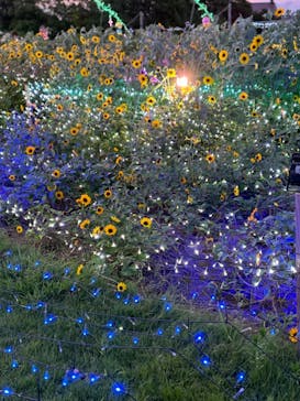 せんだい農業園芸センター　みどりの杜に投稿された画像（2024/8/5）