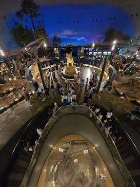 福井県立恐竜博物館に投稿された画像（2024/8/5）