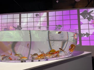 NARA KINGYO MUSEUMに投稿された画像（2024/8/5）