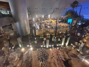 福井県立恐竜博物館に投稿された画像（2024/8/5）