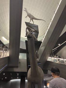福井県立恐竜博物館に投稿された画像（2024/8/5）