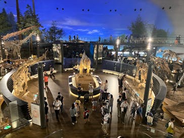 福井県立恐竜博物館に投稿された画像（2024/8/5）