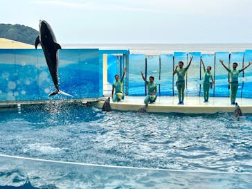 江の島シーキャンドル×新江ノ島水族館に投稿された画像（2024/8/5）