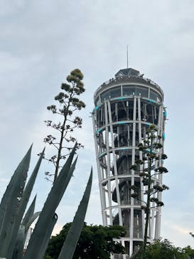 江の島シーキャンドル×新江ノ島水族館に投稿された画像（2024/8/5）