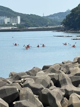 海島遊民くらぶに投稿された画像（2024/8/5）