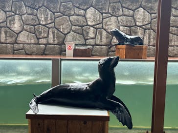 那須どうぶつ王国に投稿された画像（2024/8/5）