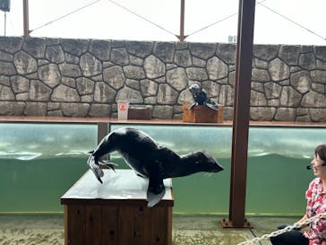 那須どうぶつ王国に投稿された画像（2024/8/5）