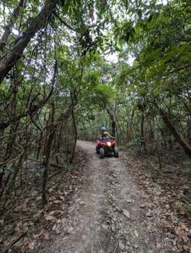 ヤンバルンチャーに投稿された画像（2024/8/5）