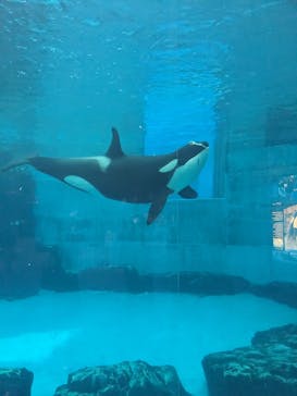 名古屋港水族館に投稿された画像（2024/8/5）