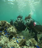 沖縄マリンサービス碧に投稿された画像（2024/8/6）