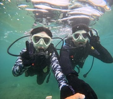 沖縄マリンサービス碧に投稿された画像（2024/8/5）