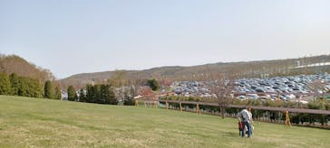 星野リゾート　トマムに投稿された画像（2024/8/6）