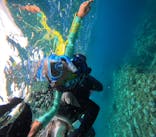 沖縄マリンサービス碧に投稿された画像（2024/8/6）