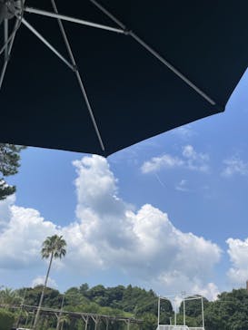 つま恋イルミネーションに投稿された画像（2024/8/6）