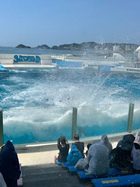 鴨川シーワールドに投稿された画像（2024/8/6）