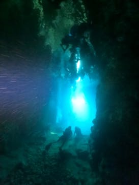 武藤潜水に投稿された画像（2024/8/6）