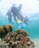 宮古島マリン GB QUESTに投稿された画像（2024/8/6）