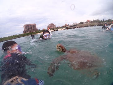 初心者専門宮古島シュノーケリングツアーに投稿された画像（2024/8/6）