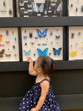 JOYPOLIS 特別イベントスペースに投稿された画像（2024/8/6）