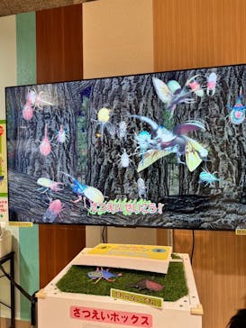 JOYPOLIS 特別イベントスペースに投稿された画像（2024/8/6）